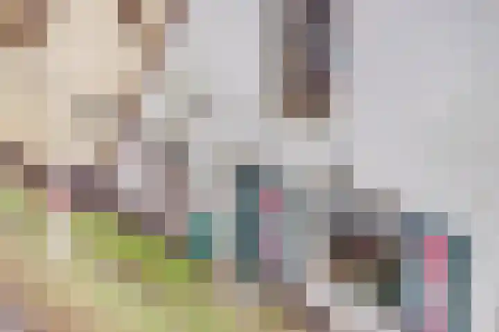 Zuiderlingedijk 135 Spijk thumbnail 7