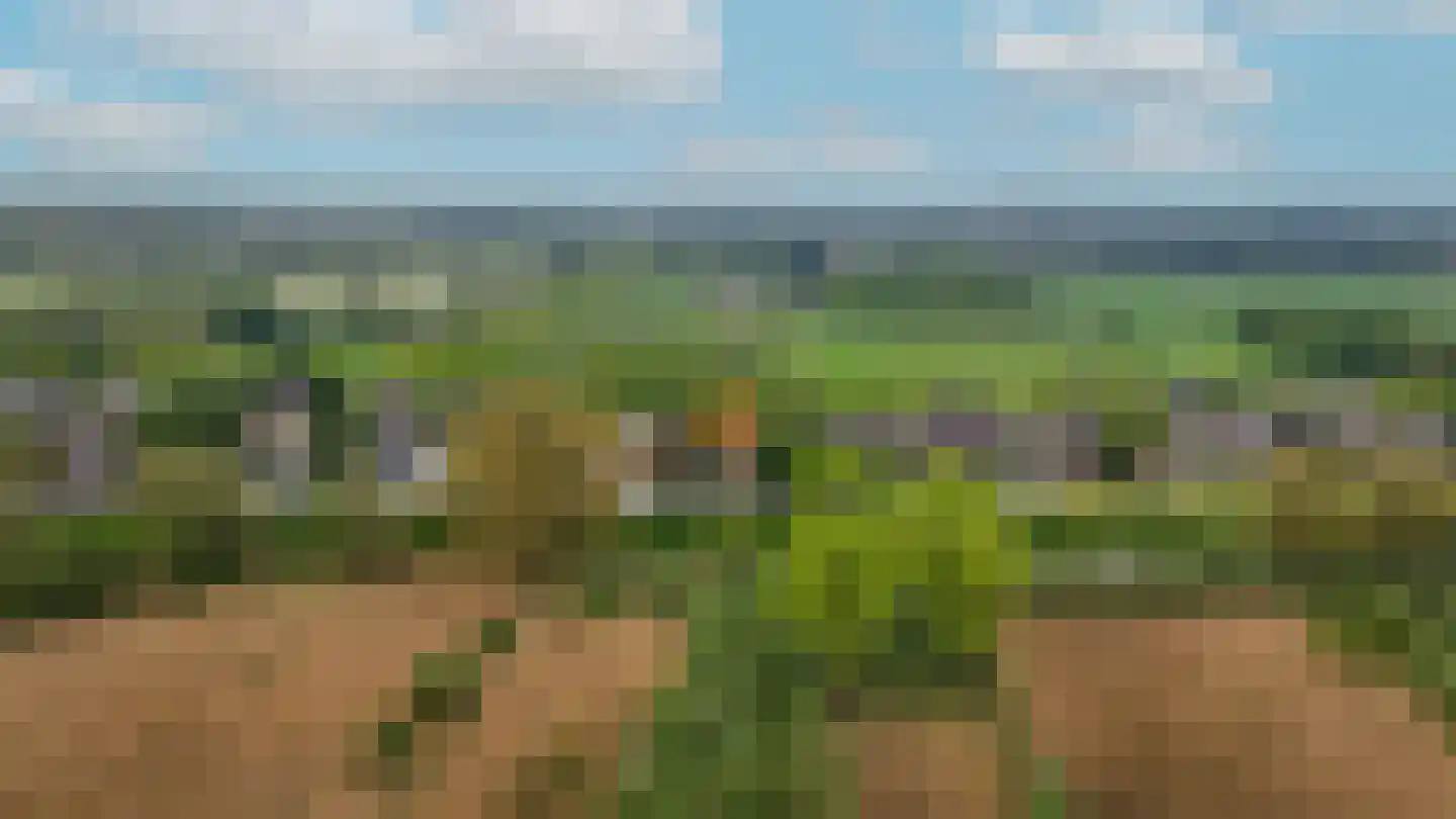 Zuiderlingedijk 179 Spijk thumbnail 12