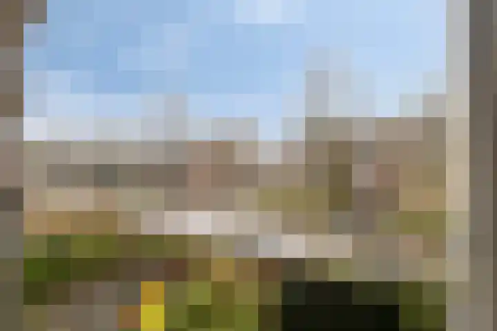 Zuiderlingedijk 179 Spijk thumbnail 23