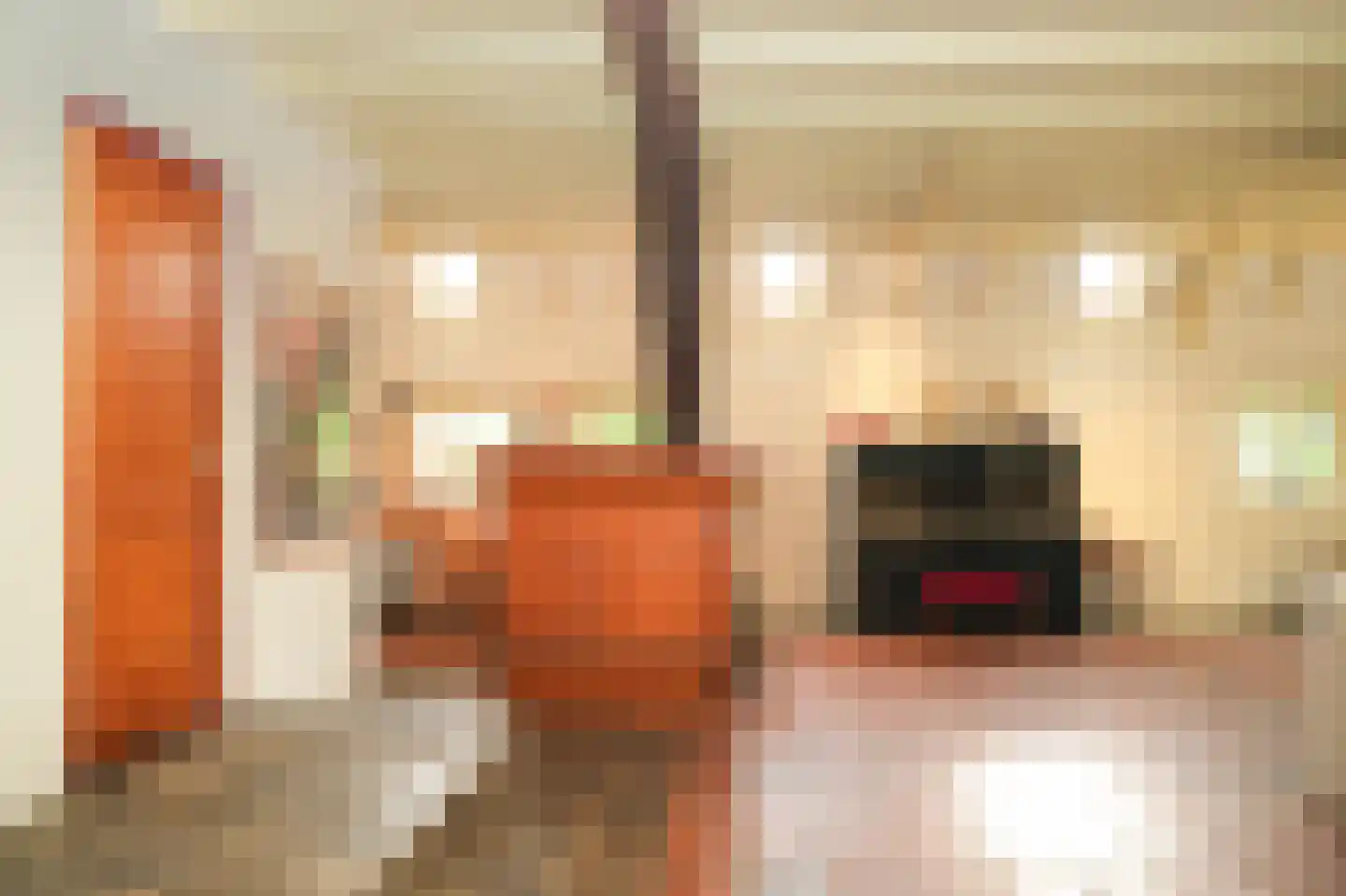 Zuiderlingedijk 179 Spijk thumbnail 25