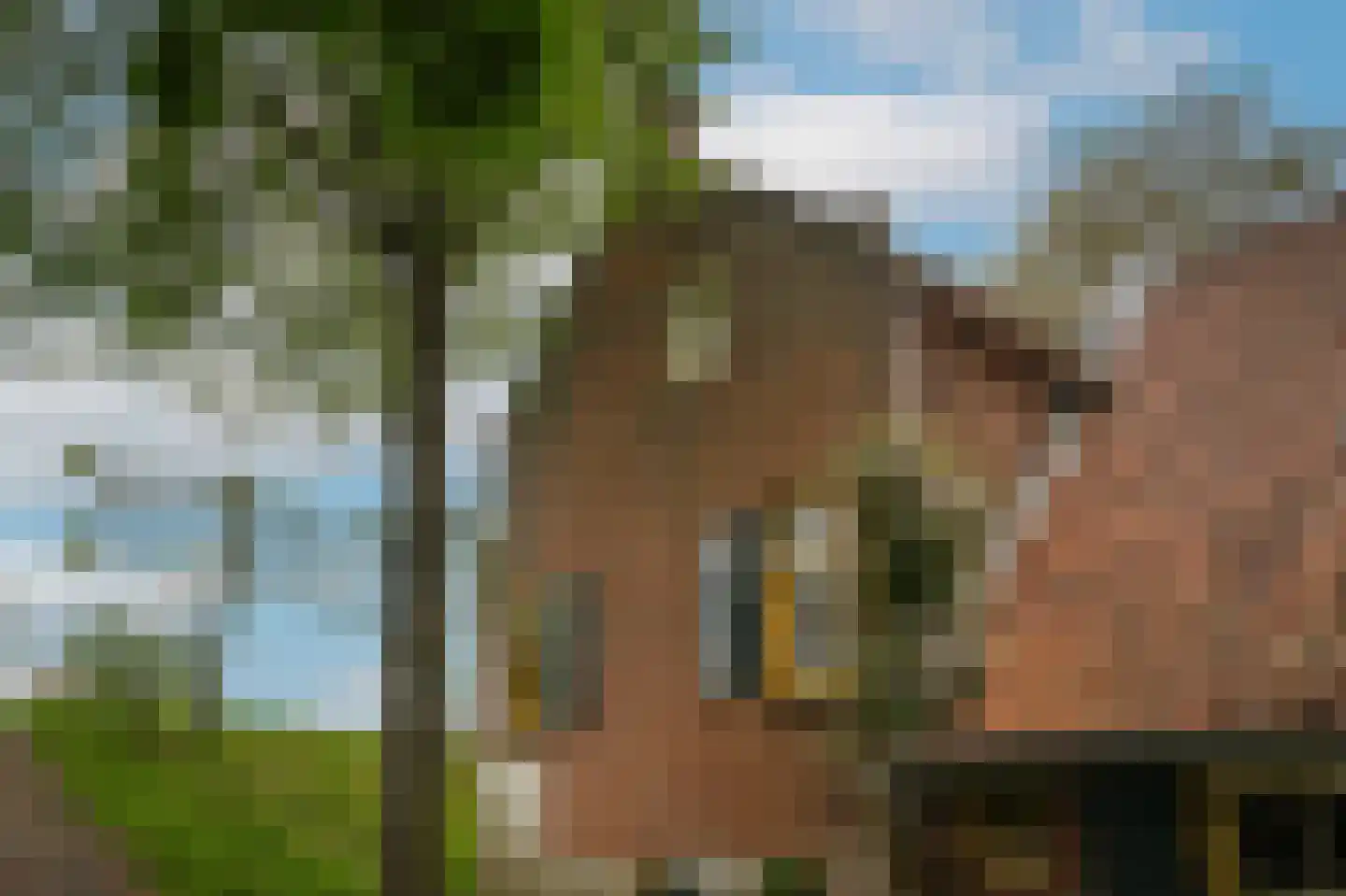 Zuiderlingedijk 179 Spijk thumbnail 47