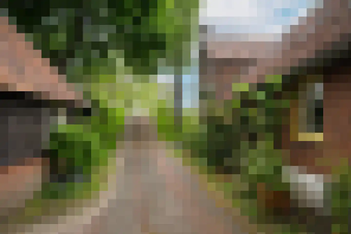 Zuiderlingedijk 179 Spijk thumbnail 52