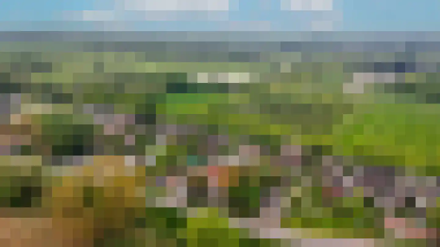 Zuiderlingedijk 179 Spijk thumbnail 57