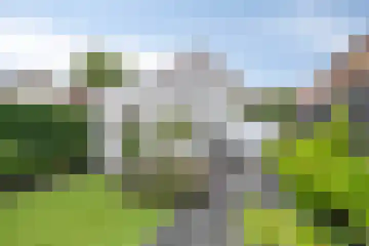 Zuiderlingedijk 179 Spijk thumbnail 60