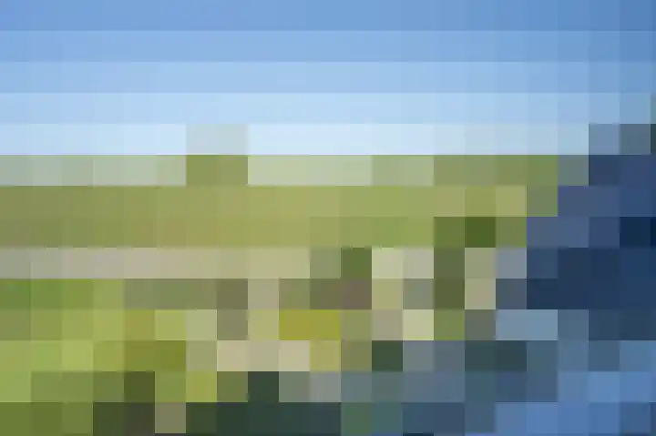 Zuiderlingedijk 245 a Spijk thumbnail 35