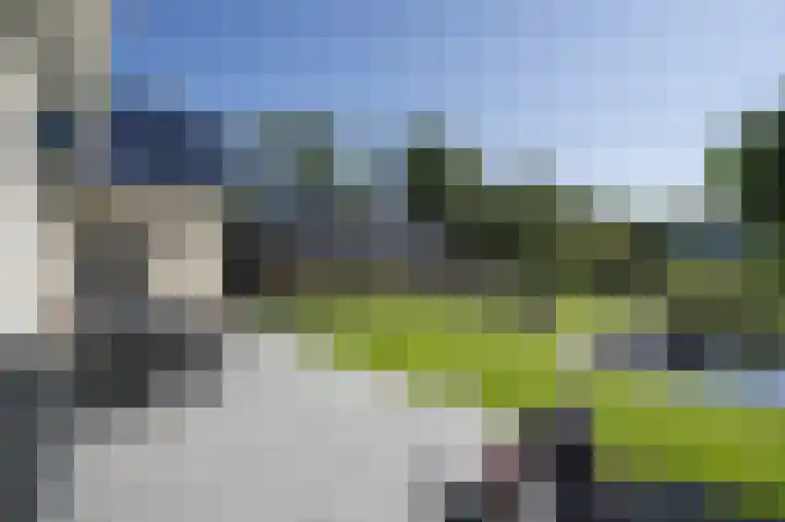 Zuiderlingedijk 245 a Spijk thumbnail 44