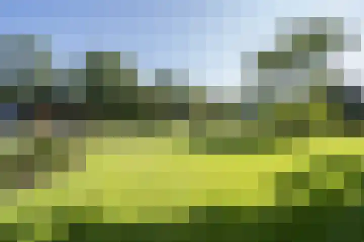 Zuiderlingedijk 245 a Spijk thumbnail 53