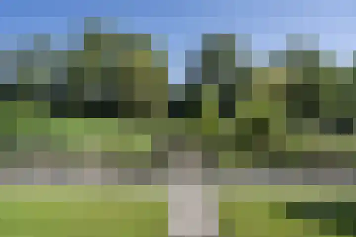Zuiderlingedijk 245 a Spijk thumbnail 55