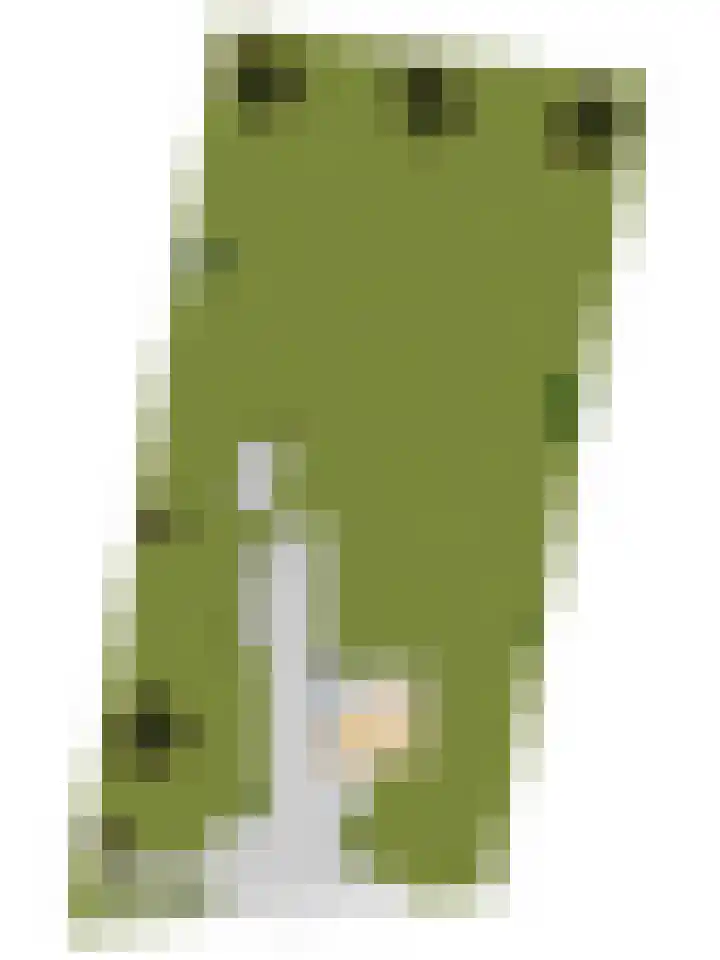 Zuiderlingedijk 245 a Spijk thumbnail 65