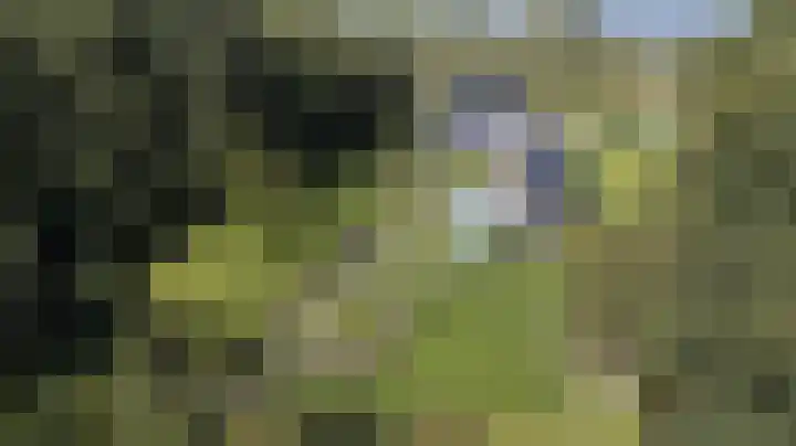 Zuiderlingedijk 245 a Spijk thumbnail 74