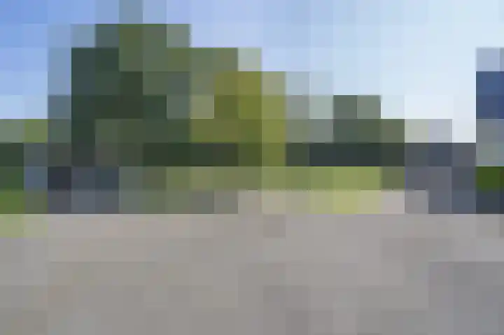 Zuiderlingedijk 245 a Spijk thumbnail 9