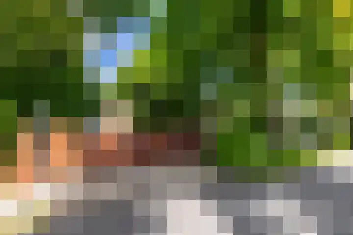 Zuiderpad 7 Zuidoostbeemster thumbnail 10