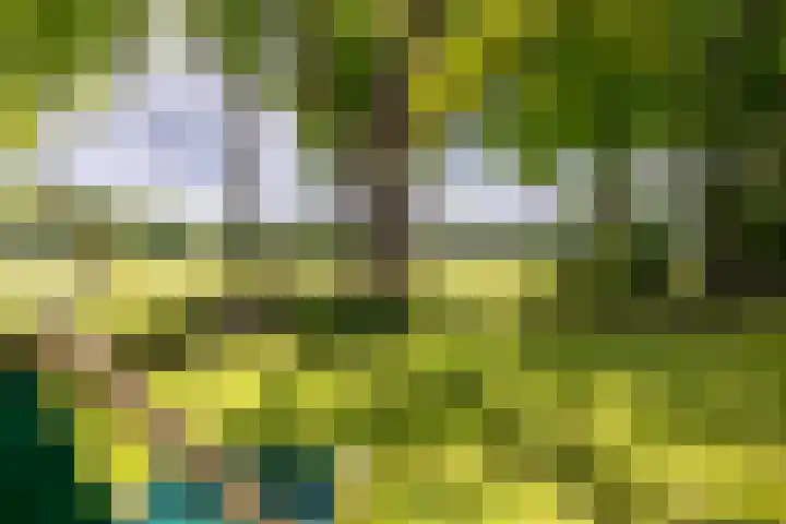 Zuiderpad 7 Zuidoostbeemster thumbnail 15
