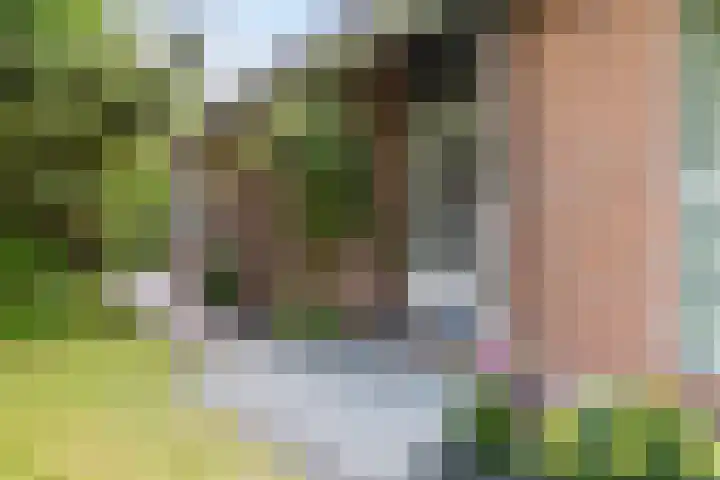 Zuiderpad 7 Zuidoostbeemster thumbnail 16