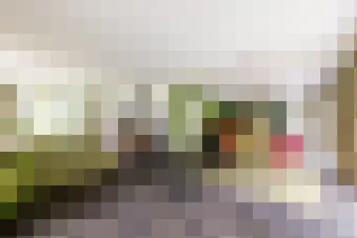 Zuiderpad 7 Zuidoostbeemster thumbnail 22