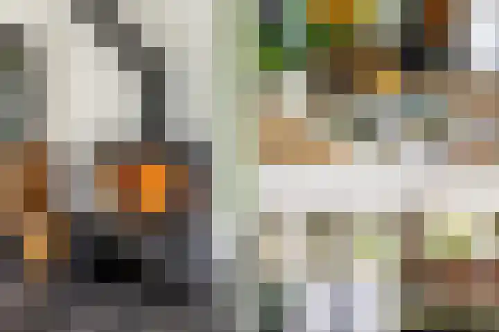 Zuiderpad 7 Zuidoostbeemster thumbnail 23