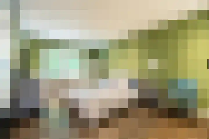 Zuiderpad 7 Zuidoostbeemster thumbnail 31
