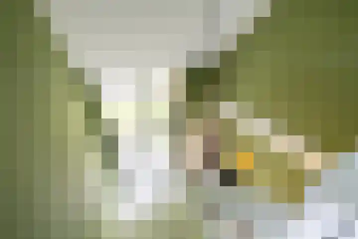 Zuiderpad 7 Zuidoostbeemster thumbnail 40