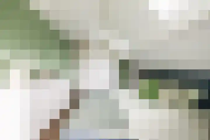 Zuiderpad 7 Zuidoostbeemster thumbnail 45