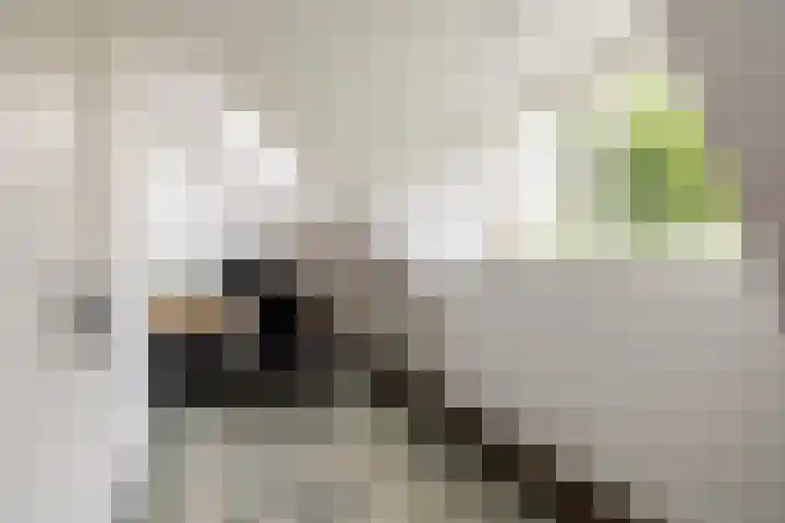 Zuiderpad 7 Zuidoostbeemster thumbnail 46