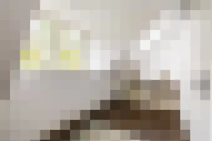 Zuiderpad 7 Zuidoostbeemster thumbnail 47