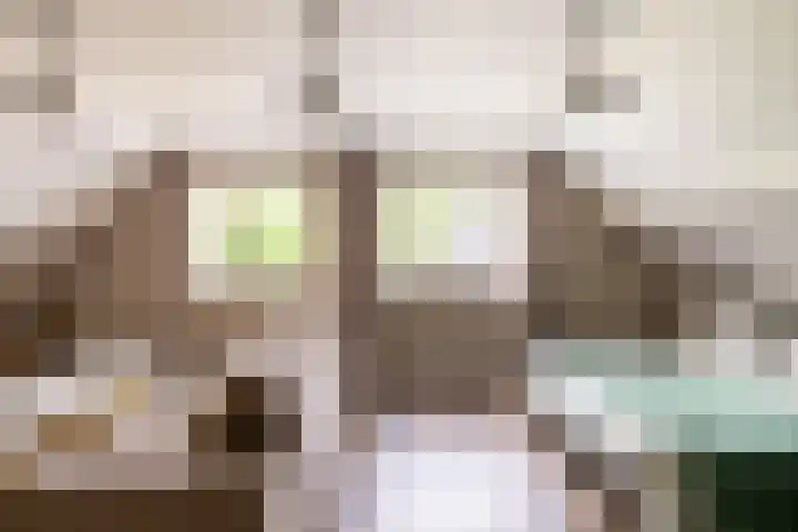 Zuiderpad 7 Zuidoostbeemster thumbnail 48