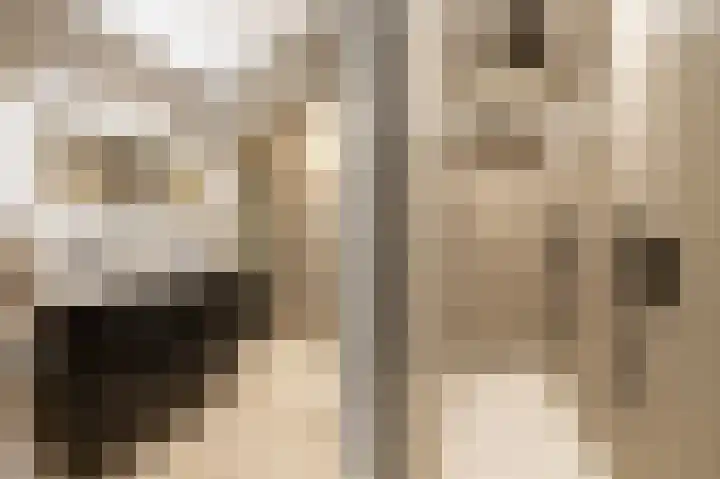Zuiderpad 7 Zuidoostbeemster thumbnail 5