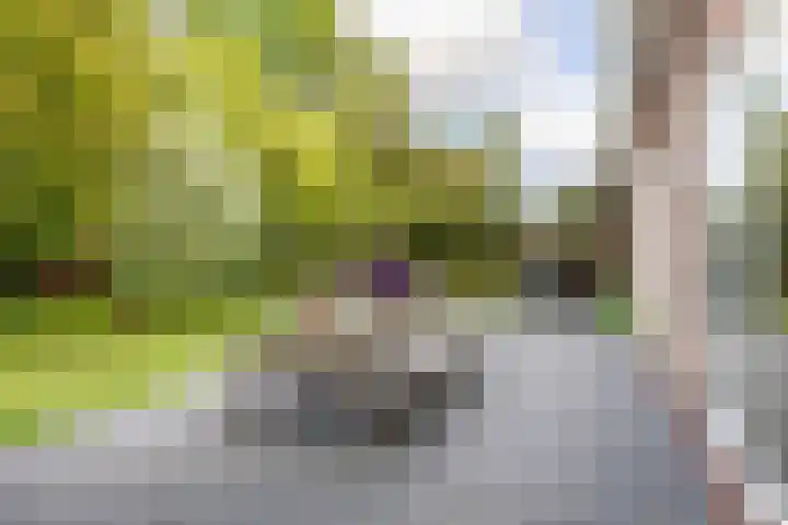 Zuiderpad 7 Zuidoostbeemster thumbnail 56
