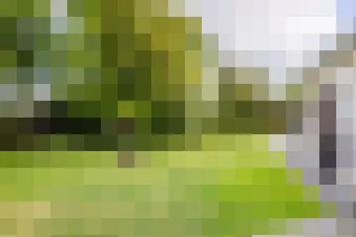 Zuiderpad 7 Zuidoostbeemster thumbnail 57