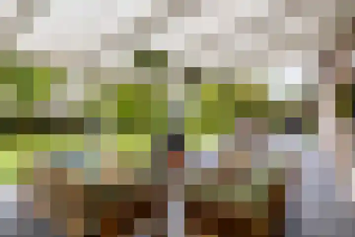 Zuiderpad 7 Zuidoostbeemster thumbnail 58