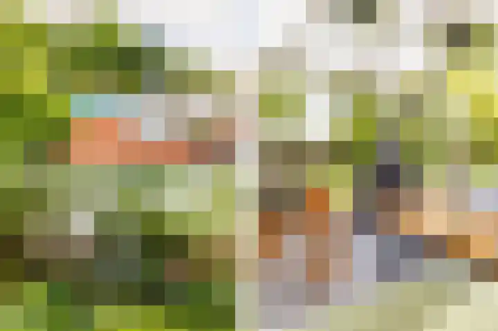 Zuiderpad 7 Zuidoostbeemster thumbnail 60