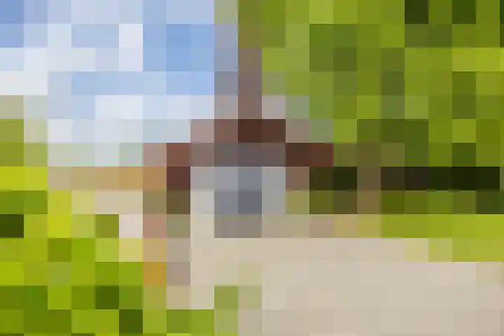Zuiderpad 7 Zuidoostbeemster thumbnail 65