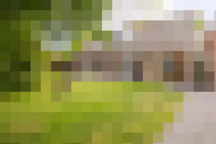 Zuiderpad 7 Zuidoostbeemster thumbnail 70