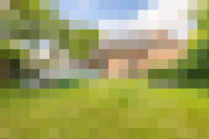 Zuiderpad 7 Zuidoostbeemster thumbnail 72