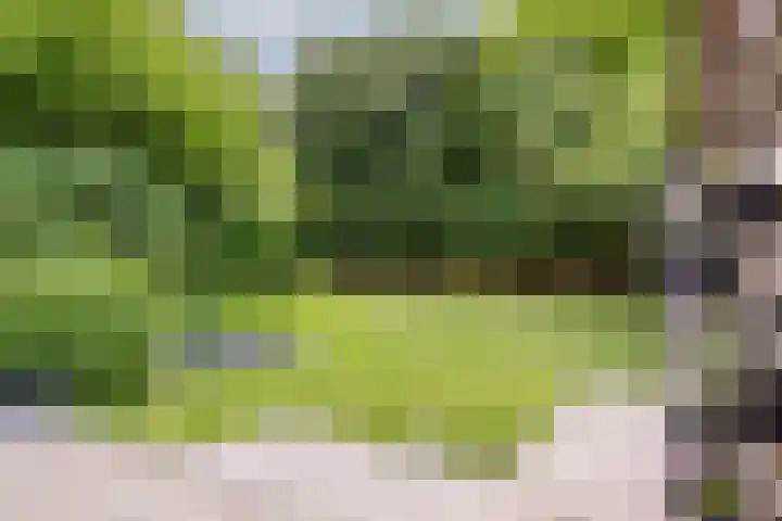 Zuiderpad 7 Zuidoostbeemster thumbnail 77