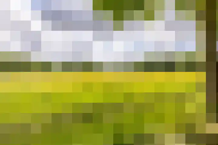 Zuiderpad 7 Zuidoostbeemster thumbnail 78