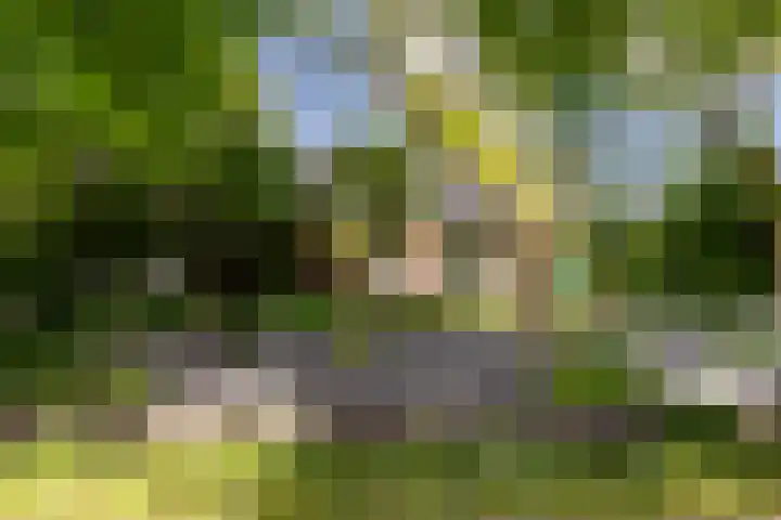 Zuiderpad 7 Zuidoostbeemster thumbnail 8