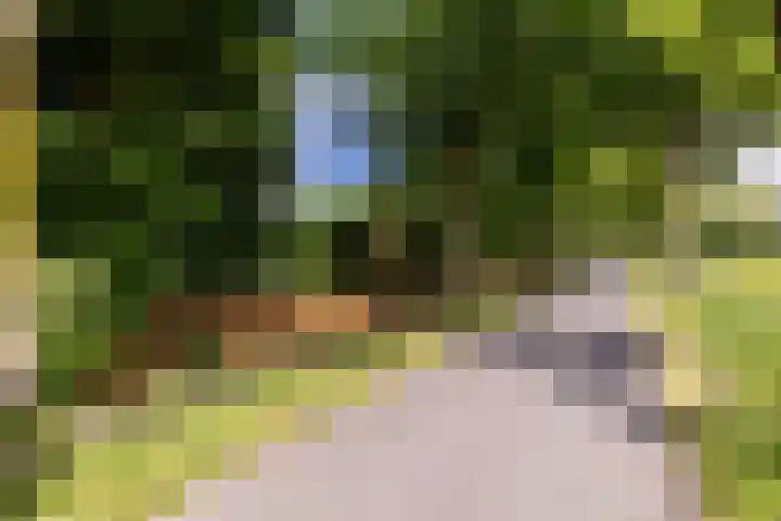 Zuiderpad 7 Zuidoostbeemster thumbnail 9