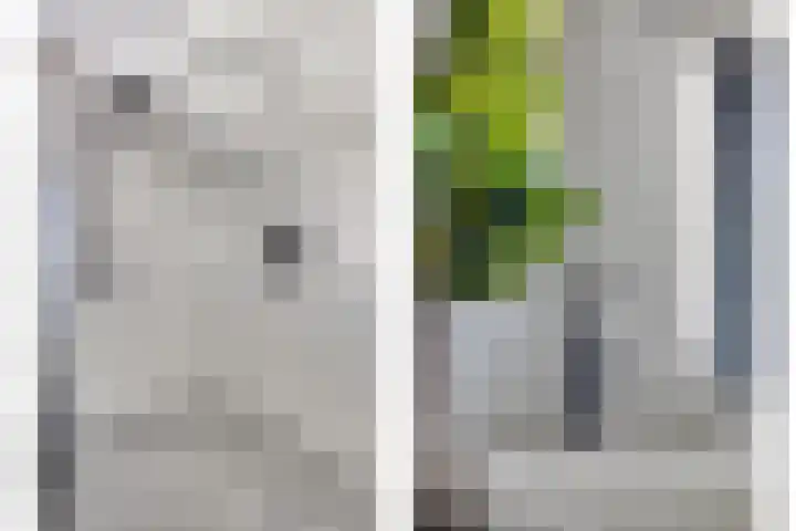 Zuiderpad 76 Zuidoostbeemster thumbnail 10