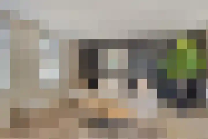 Zuiderpad 76 Zuidoostbeemster thumbnail 12
