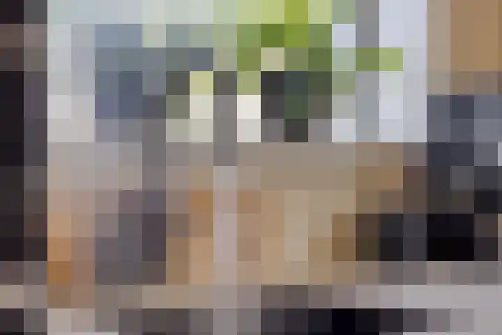 Zuiderpad 76 Zuidoostbeemster thumbnail 18