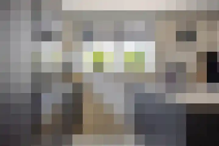 Zuiderpad 76 Zuidoostbeemster thumbnail 19