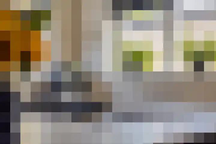 Zuiderpad 76 Zuidoostbeemster thumbnail 21