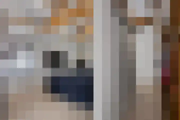 Zuiderpad 76 Zuidoostbeemster thumbnail 28