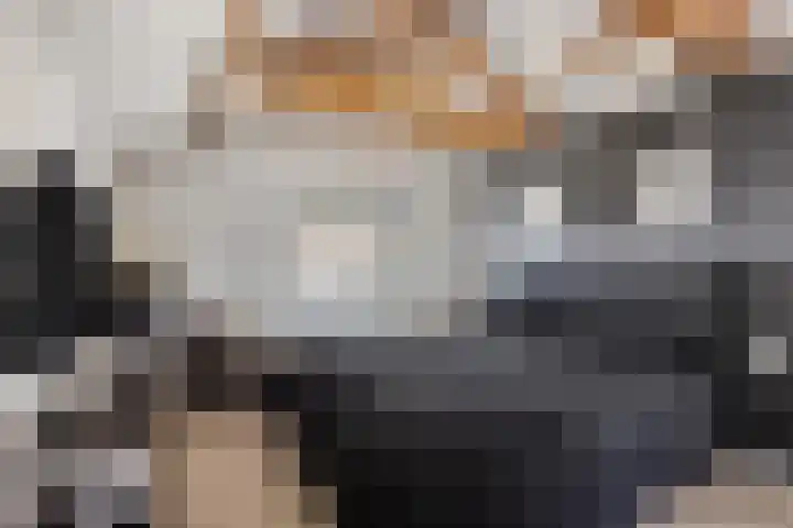 Zuiderpad 76 Zuidoostbeemster thumbnail 29