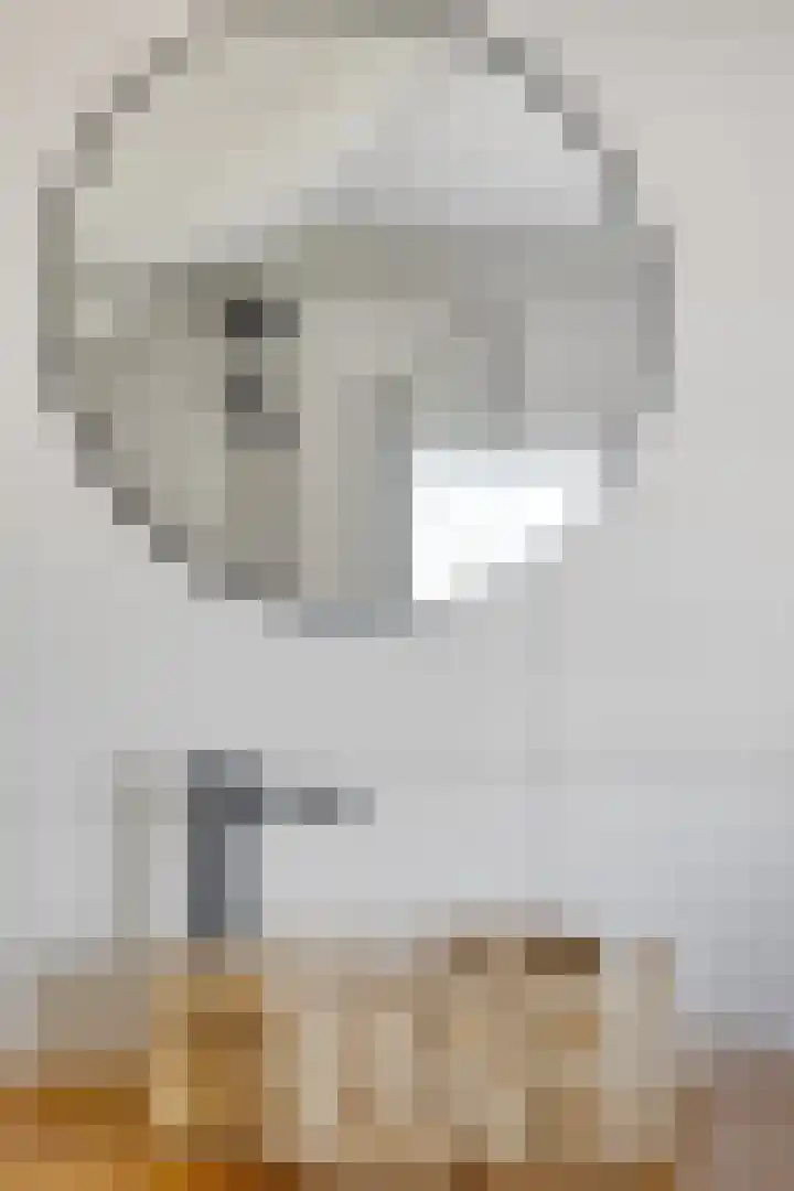 Zuiderpad 76 Zuidoostbeemster thumbnail 37