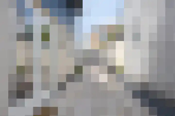 Zuiderpad 76 Zuidoostbeemster thumbnail 38