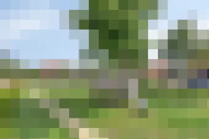 Zuiderpad 76 Zuidoostbeemster thumbnail 42