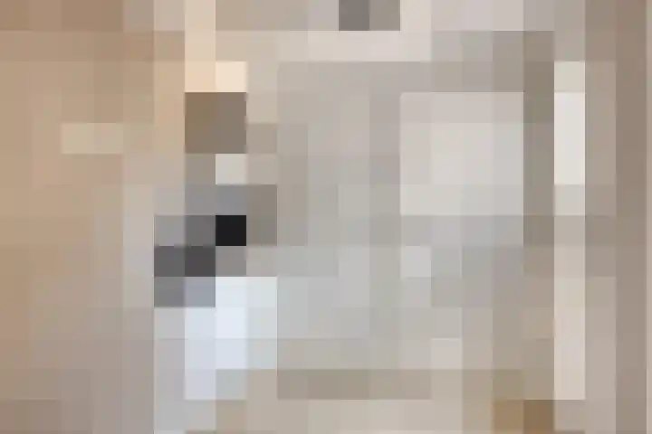 Zuiderpad 76 Zuidoostbeemster thumbnail 8
