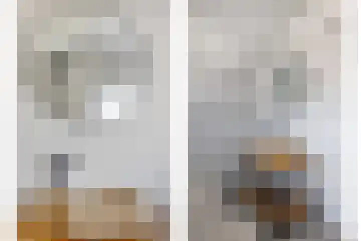 Zuiderpad 76 Zuidoostbeemster thumbnail 9